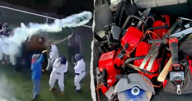 Hundreds of activists face pepper spray in violent clash with deputies at Wisconsin beagle research facility