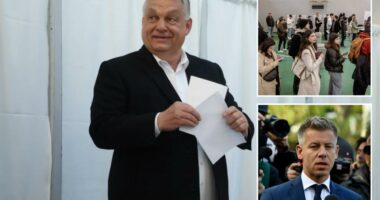 Hungarians vote in crucial election that could unseat populist Prime Minister OrbÃ¡n