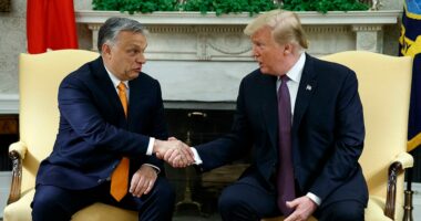 Hungarians vote in record numbers as Trump-ally Viktor Orbán faces biggest electoral threat since 2010