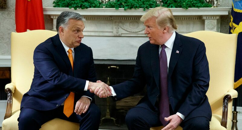 Hungarians vote in record numbers as Trump-ally Viktor Orbán faces biggest electoral threat since 2010