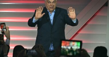 Hungary's Viktor OrbÃ¡n concedes defeat after 'painful' election