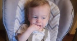 Hungry toddler ate DRYWALL and diapers, prosecutors say