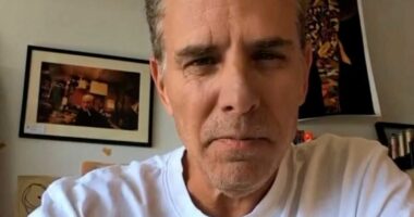 Hunter Biden reveals potential cage fight against Donald Trump's sons