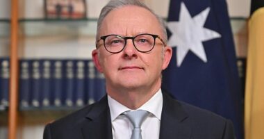 Anthony Albanese didn’t become a great leader overnight - but the fuel crisis forced his hand, and the Prime Minister has stepped up under pressure, rolling out tax cuts and supply measures to steady the nation, writes PVO
