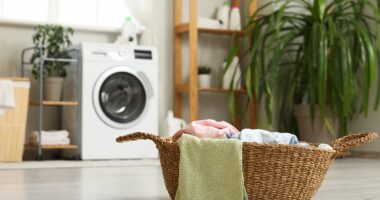 I earned over $1 MILLION from my product that everyone already has