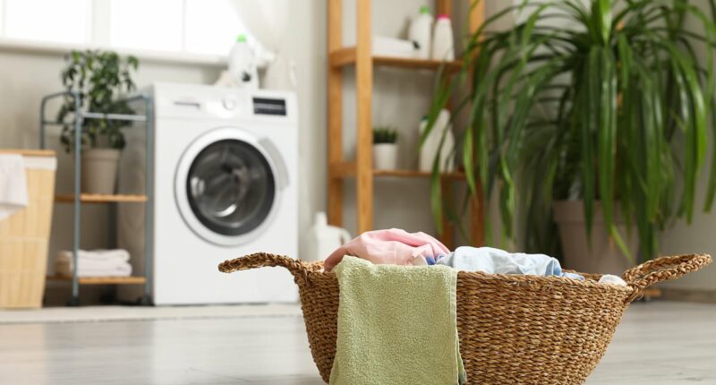 I earned over $1 MILLION from my product that everyone already has