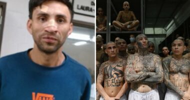 ICE agents in San Diego capture machete-swinging MS-13 assassin from El Salvador known as "the witch"