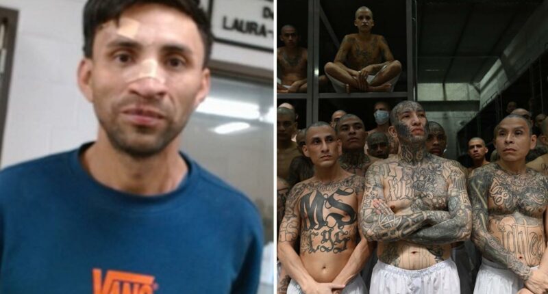 ICE agents in San Diego capture machete-swinging MS-13 assassin from El Salvador known as "the witch"