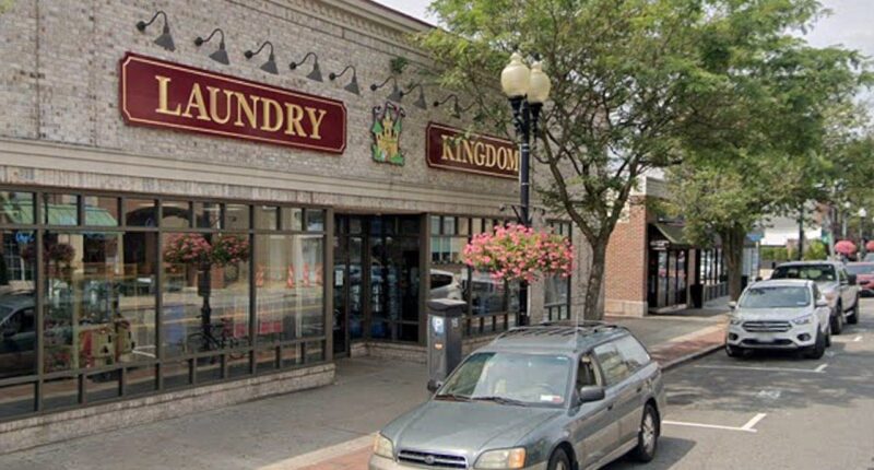 ICE arrests illegal immigrant accused of kidnapping 4-year-old girl from laundromat