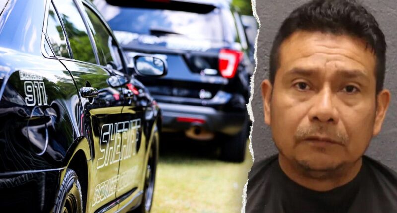 ICE detains man accused of sexually assaulting minor after hospital parking lot birth