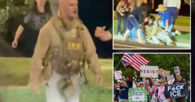 ICE impersonator brutally beaten in Honolulu not affiliated with DHS, agency says