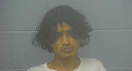 ICE issues detainer for migrant who 'lured boy, then shot him dead'