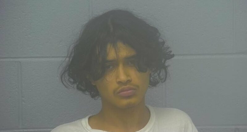 ICE issues detainer for migrant who 'lured boy, then shot him dead'