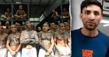 ICE nabs alleged machete-wielding MS-13 gangster wanted for murder: 'the witch'