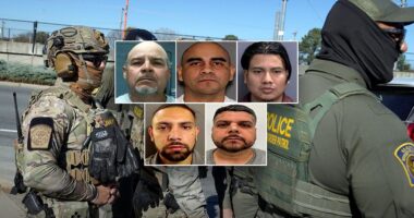 ICE nabs illegal aliens convicted of child sex crimes and meth trafficking in nationwide enforcement sweep