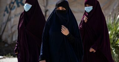 ISIS brides obtain plane tickets to Australia