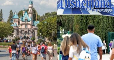 Iconic Disneyland ride shuts down for first time in 65 years