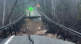 Iconic midwestern 'tunnel of trees' partially-destroyed by floods