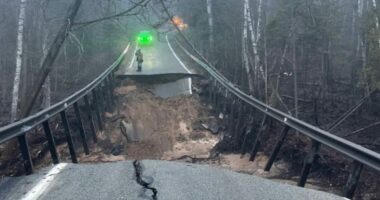 Iconic midwestern 'tunnel of trees' partially-destroyed by floods
