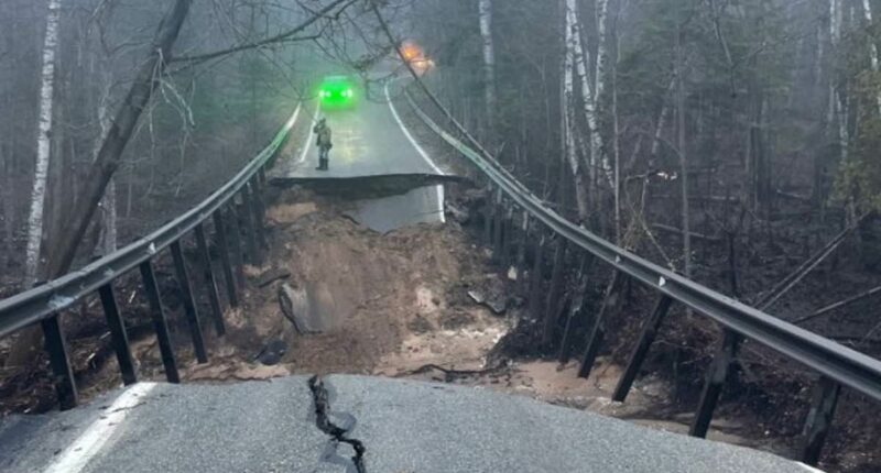 Iconic midwestern 'tunnel of trees' partially-destroyed by floods