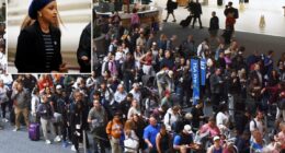 Ilhan Omar admits Dems are to blame for DHS shutdown