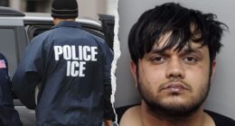 Illegal alien accused of biting 3-year-old girl's face at Texas park, ICE lodges detainer after arrest: DHS