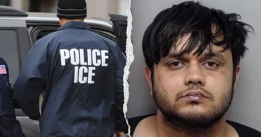 Illegal alien accused of biting 3-year-old girl's face at Texas park, ICE lodges detainer after arrest: DHS
