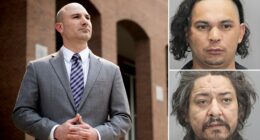 Illegal immigrant, accomplice get 5 years for murder in sweetheart deal with progressive Virginia DA