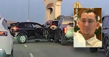 Illegal immigrant suspected of gang ties arrested after allegedly ramming ICE officer