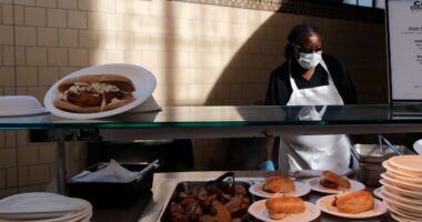 Illinois State University sued over alleged strikebreaker hiring during strike