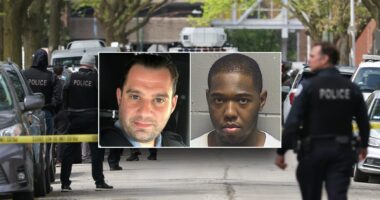 Illinois no-cash bail law 'utterly manipulated' by violent offenders, Dem alderman says after cop's killing