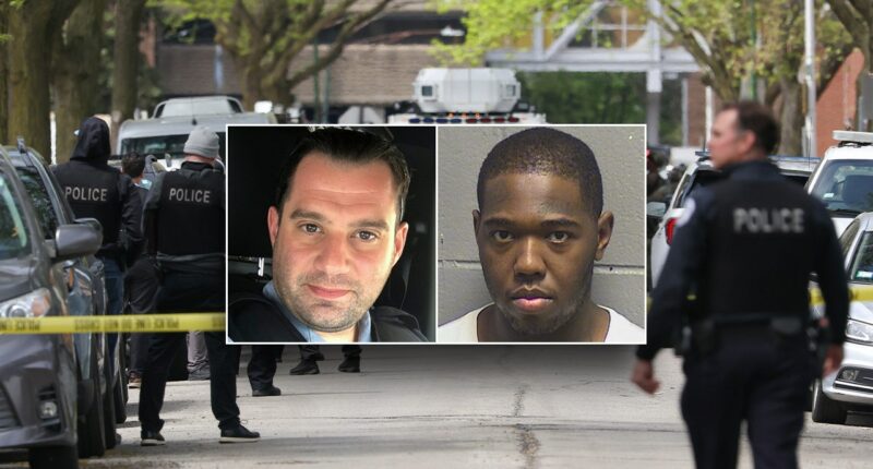 Illinois no-cash bail law 'utterly manipulated' by violent offenders, Dem alderman says after cop's killing