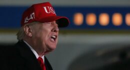 'I’m not a fan': Trump criticizes Pope Leo XIV amid feud over Iran war