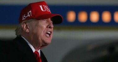 'I’m not a fan': Trump criticizes Pope Leo XIV amid feud over Iran war