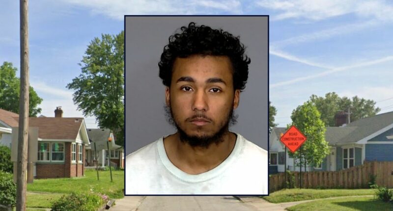 'I'm so stupid': Man fatally shot girlfriend while 'playing' with gun on couch, police say