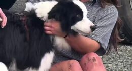 Jessica Johnston was reunited with her dog Molly (pictured together) on Tuesday