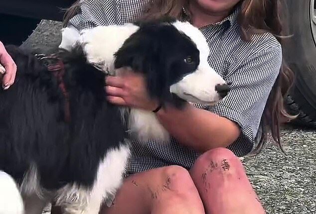 Jessica Johnston was reunited with her dog Molly (pictured together) on Tuesday