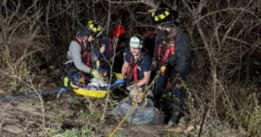 Injured fisherman dramatically rescued from 20 feet below hillside