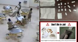 Inmate deaths linked to paper laced with toxic drug in Cook County jail