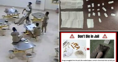 Inmate deaths linked to paper laced with toxic drug in Cook County jail