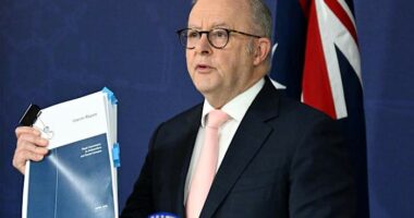 Inquiry into antisemitic attack that left 15 dead in Sydney recommends gun reform