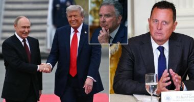 Inside the Apprentice-style tryouts among Trump's inner circle to be his next Russian Ambassador… as firebrand Ric Grenell handed brutal truth