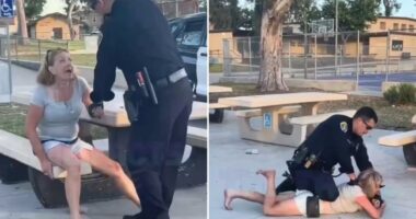 Instant karma for Karen who bit San Diego cop after racist rant