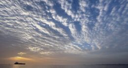 Iran 'offers to reopen Strait of Hormuz if US lifts blockade, war ends'