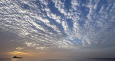 Iran 'offers to reopen Strait of Hormuz if US lifts blockade, war ends'