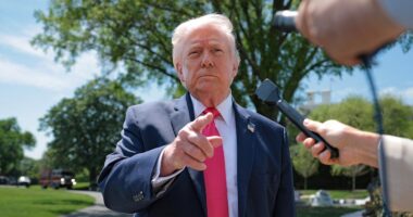 Iran agrees not to execute eight women tied to anti-regime protests after Trump's public appeal