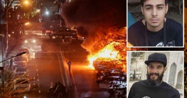 Iran hangs college student, another man in protest-related executions