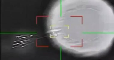 Iran says it shot down US plane amid race to find lost pilot