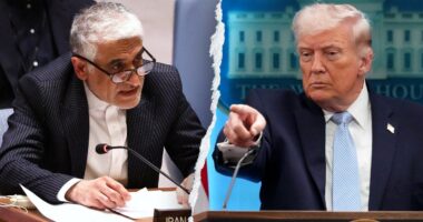 Iran's UN ambassador takes swipe at Trump in final hours before Strait of Hormuz deadline