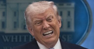 Iran's nuclear programme 'has survived attacks and can make bombs'